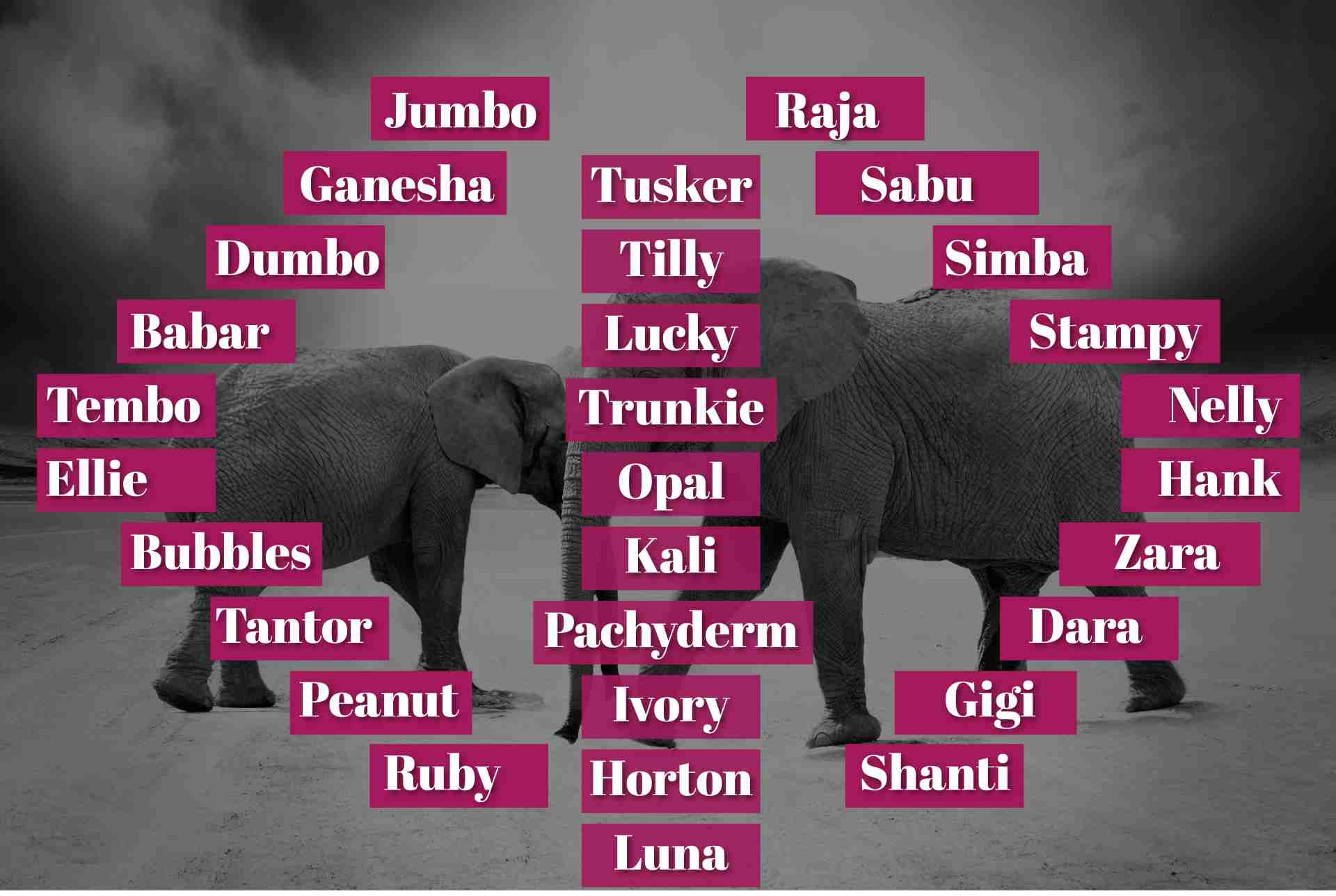 Good Elephant Names